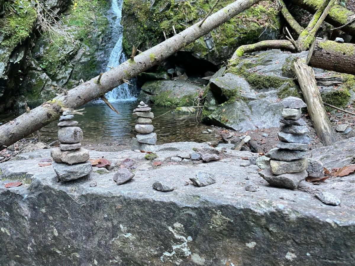 Ferienwohnung Am Schluchsee Buitenkant foto